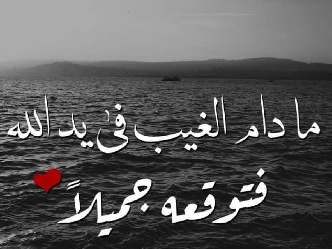 AlflasyRayh's tweet photo. الحمدلله دائما وابدا 💜 https://t.co/geluNBvXLp