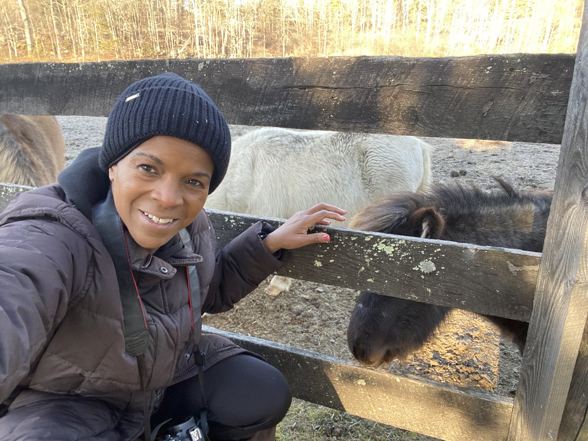 Back at the Farm #horses #farmlife #nature