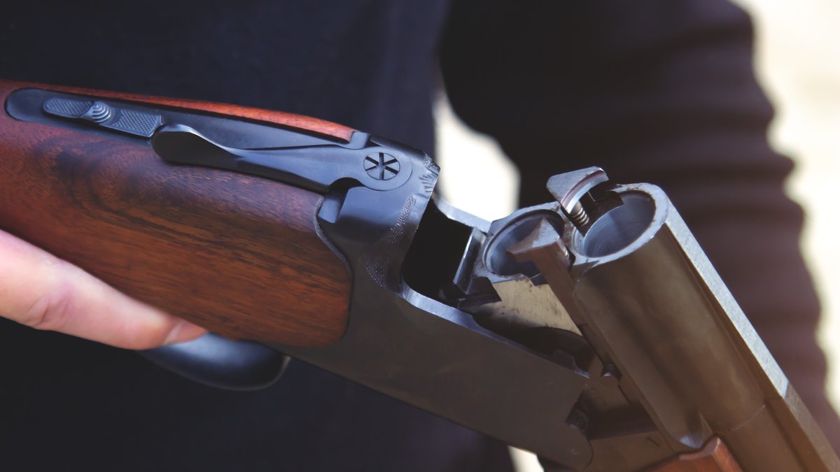 1News on Twitter "Gun owners say fee hikes could lead to more unlicensed firearms https//1news