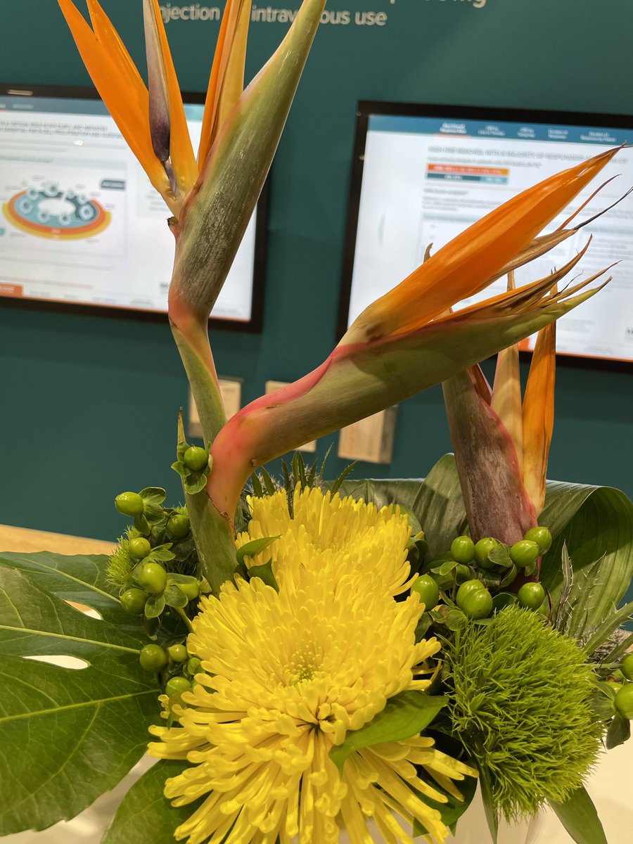 feldstej's tweet photo. #ASH22 #ASHViews #ASHFlowers #ASHKudos #PathAtASH https://t.co/duSB30I9Tg