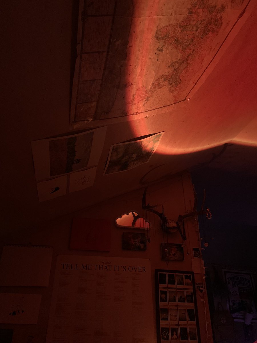 i really think stuff like light therapy or whatever is bs then i turn on my silly little sunset lamp and im happy again