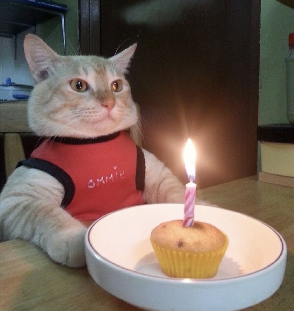 claredulune's tweet image. It’s my birthday