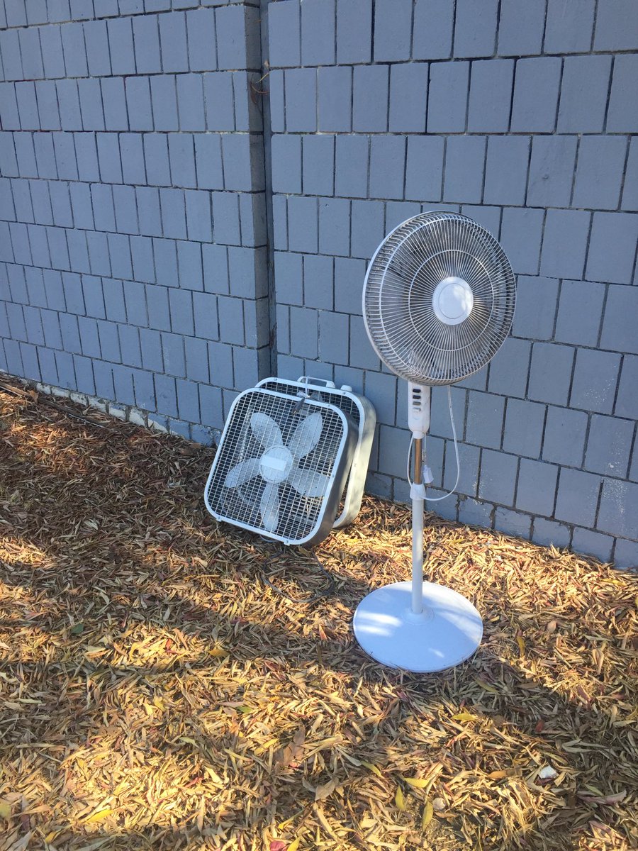 Collin Dahlgren tweet media