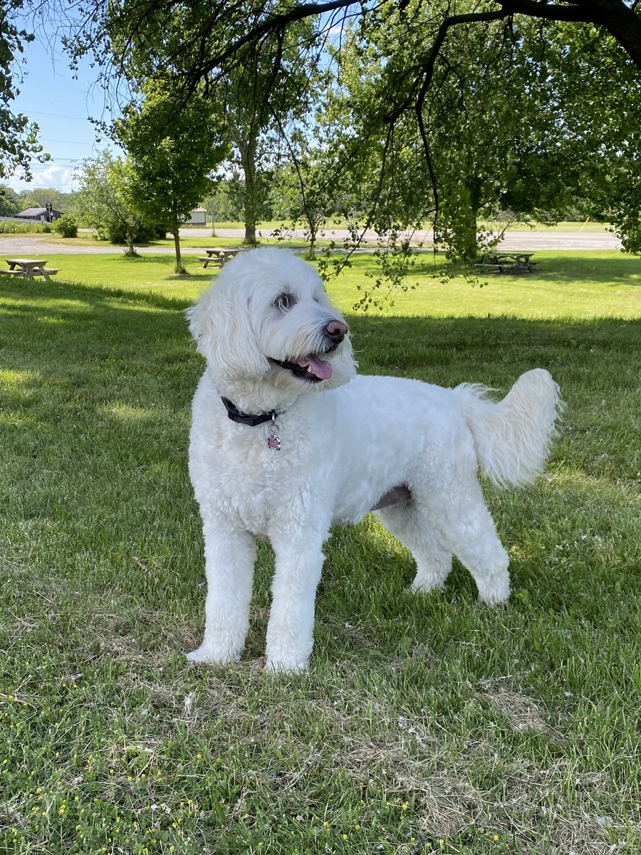 Coach Gilson tweet media