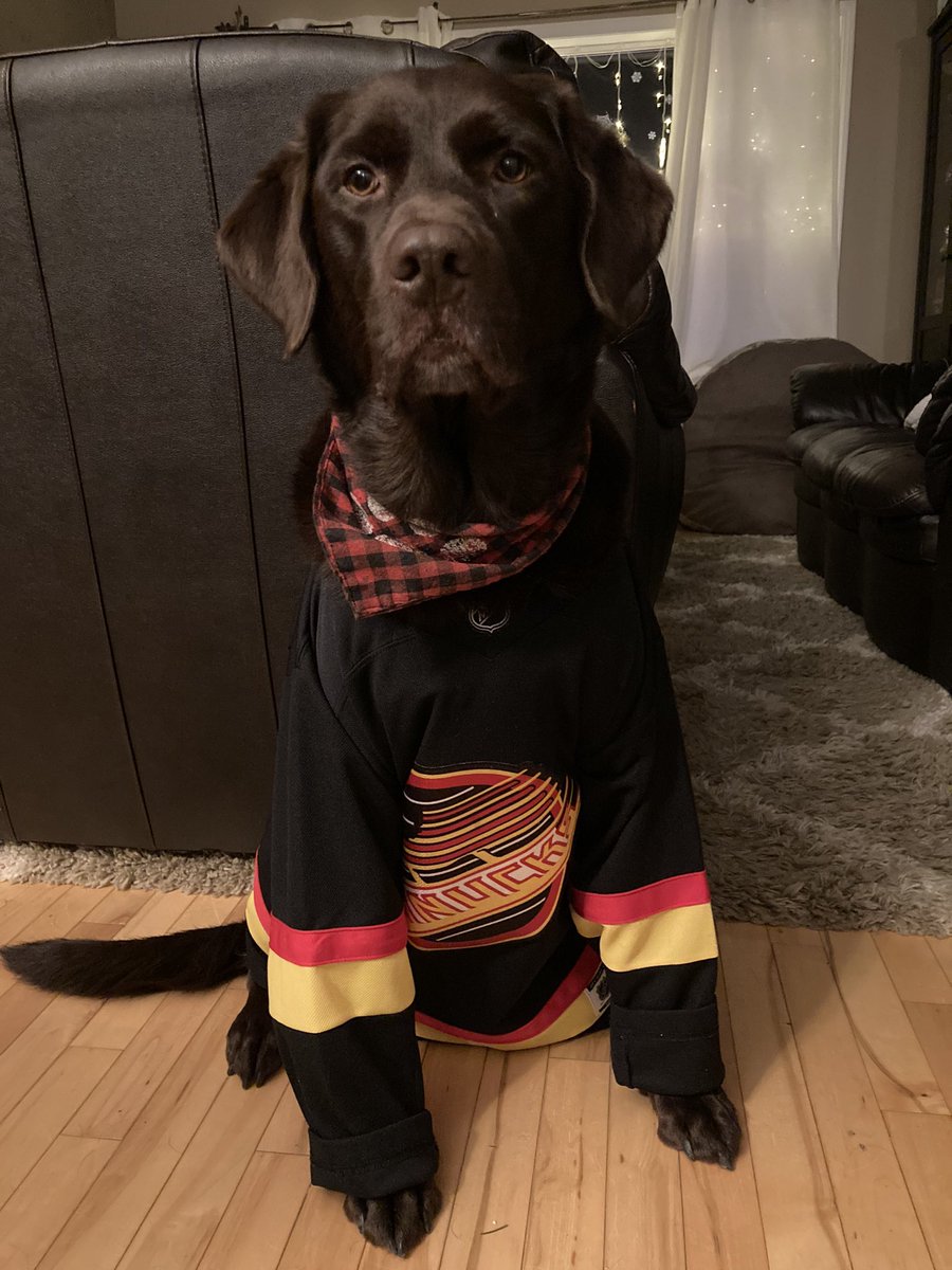 _Ali5on's tweet photo. Dukes had his dinner from @bosleyspetstore, done his stretches and is all ready to cheer on the @Canucks tonight!!! Wishing he could be part of the races too!!! #fansbestfriend https://t.co/AKvVkMgiyB