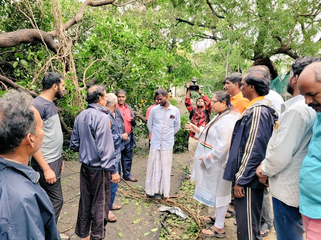 AmirdaVarshini1's tweet photo. Yesterday, we inspected and the fallen tree being removed by the @chennaicorp frontline workers at ECR, Bharathi Nagar, 2nd Trust Main Road and  Leith Castle south Street. @RahulGandhi @mkstalin @CMOTamilnadu @GSBediIAS @ThamizhachiTh @mylaivelu71 @KS_Alagiri @PriyarajanDMK https://t.co/DKPNyPSRIM