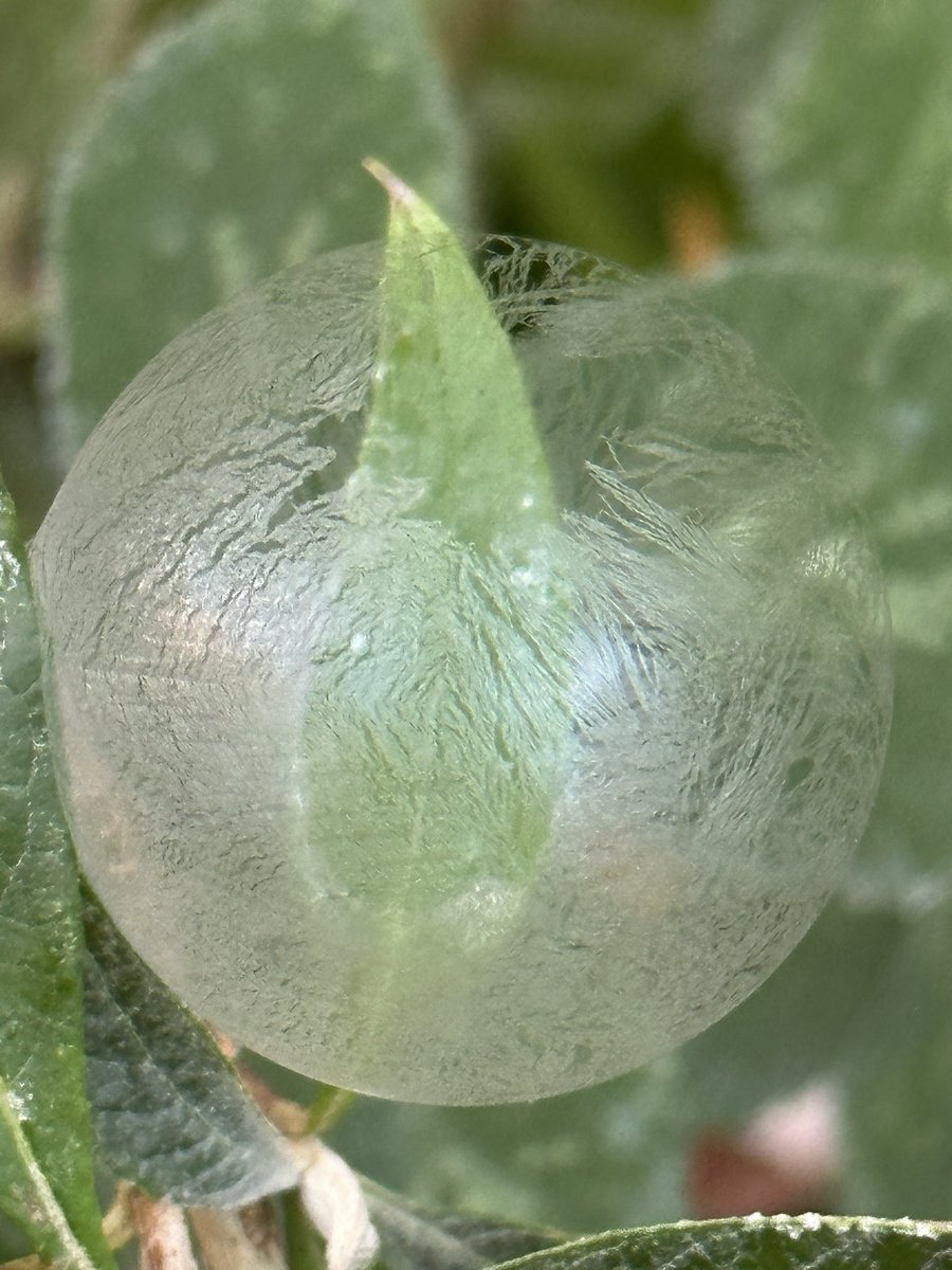 #icebubbles #frozenbubbles #kidsbubbles