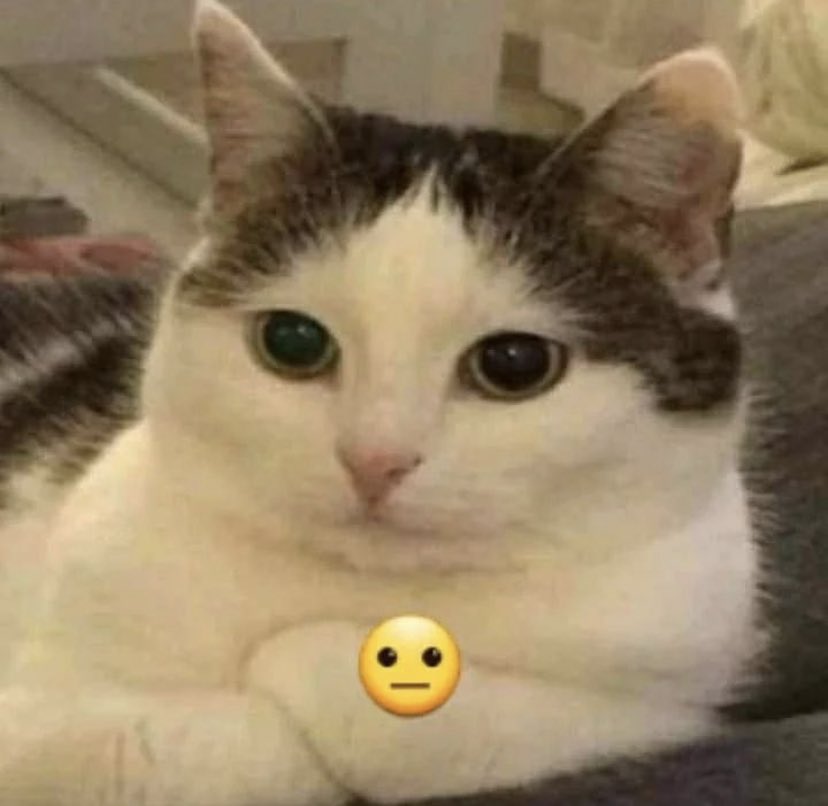 Psonite (@psonite1) on Twitter photo 