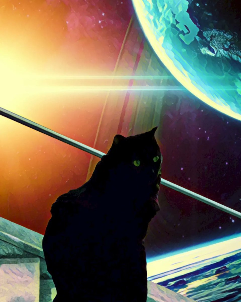 NicoleKerwin's tweet photo. Cats make AI fun #lensa #AIart https://t.co/MVDUiJvjhP
