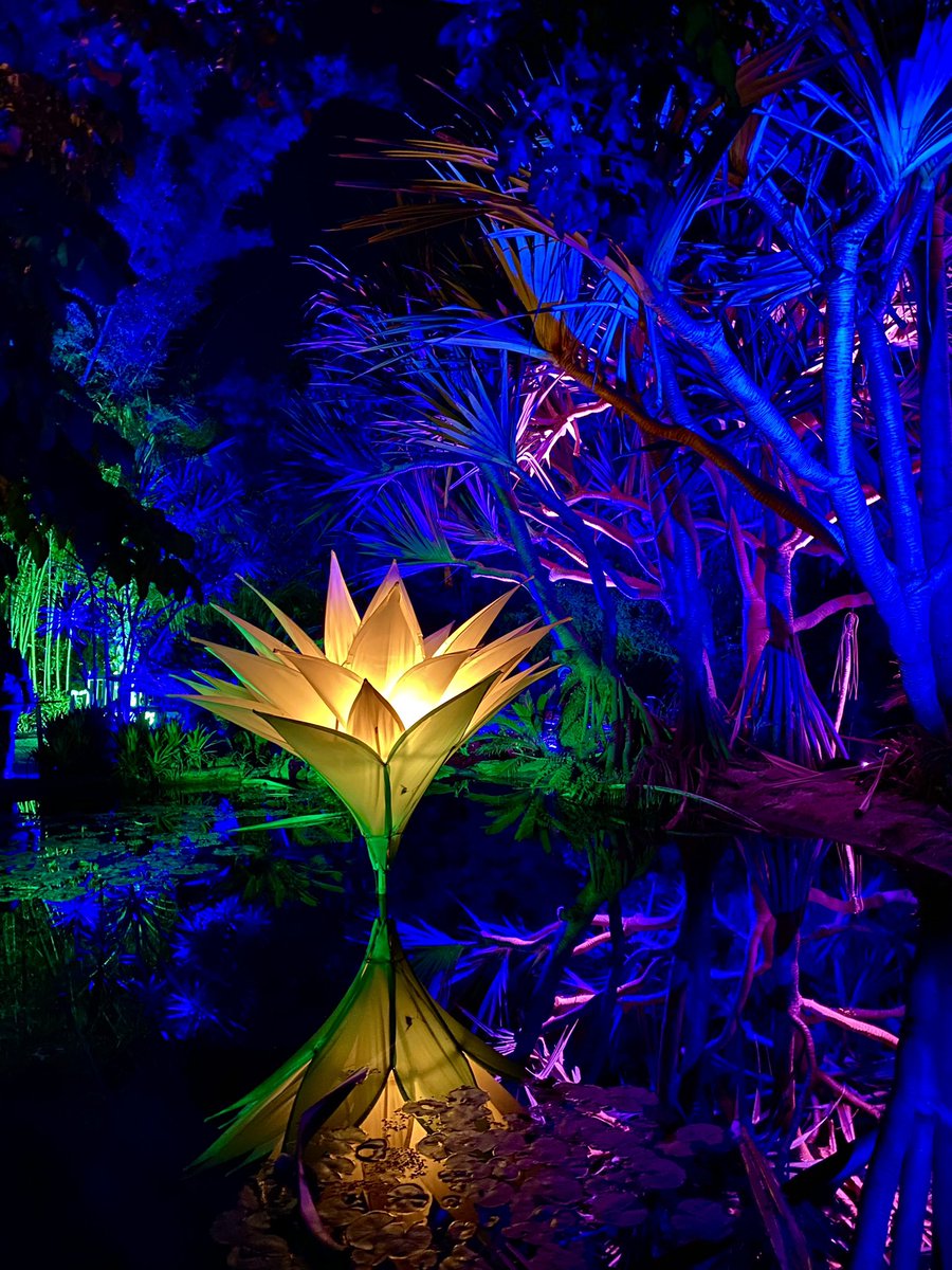 Wes Pinkston (@wespinkston) on Twitter photo 1 Million Holiday Lights Show <a href="/SDBGarden/">San Diego Botanic Garden</a> 💡🎄😍
Lightscape an international acclaimed light show has come to San Diego Botanical Garden 🪴 They light up the night with a stunning spectacle of light ✨, color 🌈, fire 🔥, and sound 🎵 1 Million Holiday Lights Show <a href="/SDBGarden/">San Diego Botanic Garden</a> 💡🎄😍
Lightscape an international acclaimed light show has come to San Diego Botanical Garden 🪴 They light up the night with a stunning spectacle of light ✨, color 🌈, fire 🔥, and sound 🎵