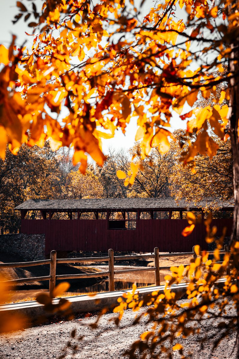 CrispyCaptures's tweet image. fall was good! #endoffall #photographysnotdead #fallcolors #autum #autumncolors #Arkansas