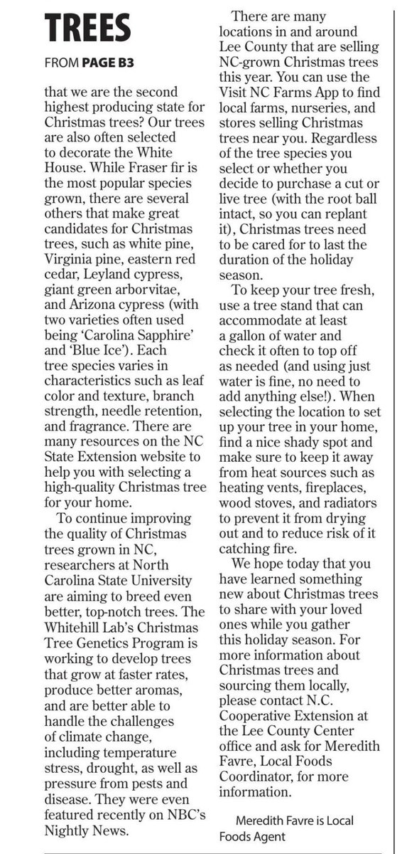 Nice article in the Sanford Herald today, written by Meredith Favre about Christmas trees!
