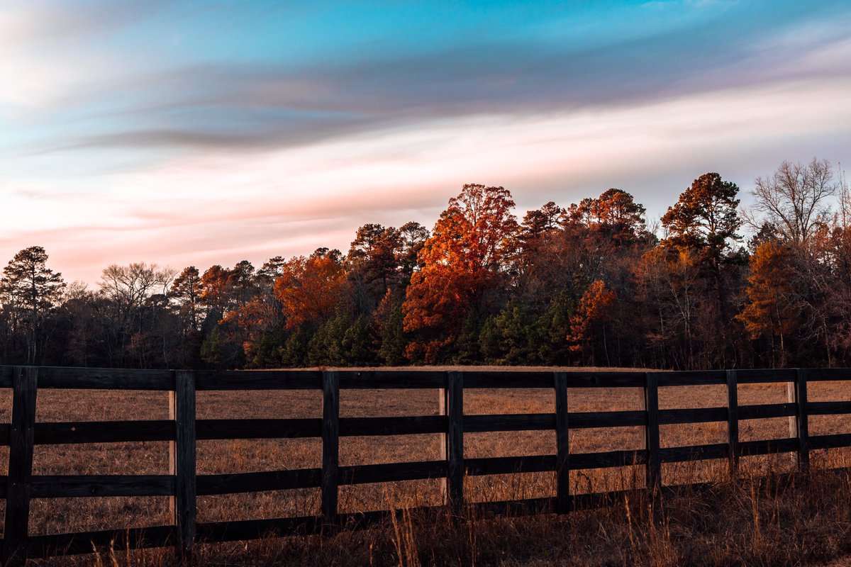 CrispyCaptures's tweet image. fall was good! #endoffall #photographysnotdead #fallcolors #autum #autumncolors #Arkansas