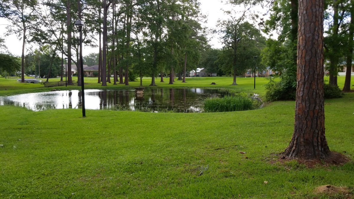 EverydayParks's tweet photo. Crisp Co Park
Dooly County, Georgia
3.8/5 stars (12 ratings)
#DoolyCounty #Georgia #parks #nature #outdoors #travel #landscape https://t.co/S1LMBW6udX