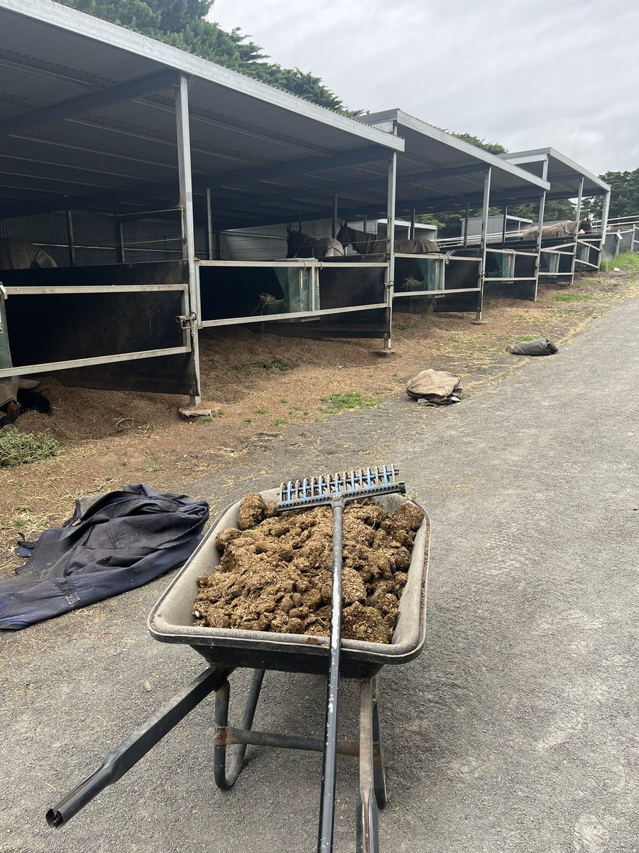 Greg Sugars tweet media