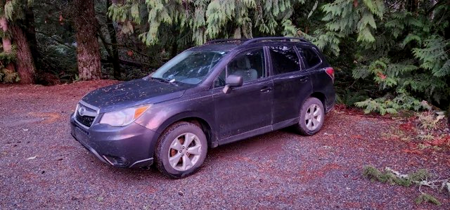 Victoria Police tweet media