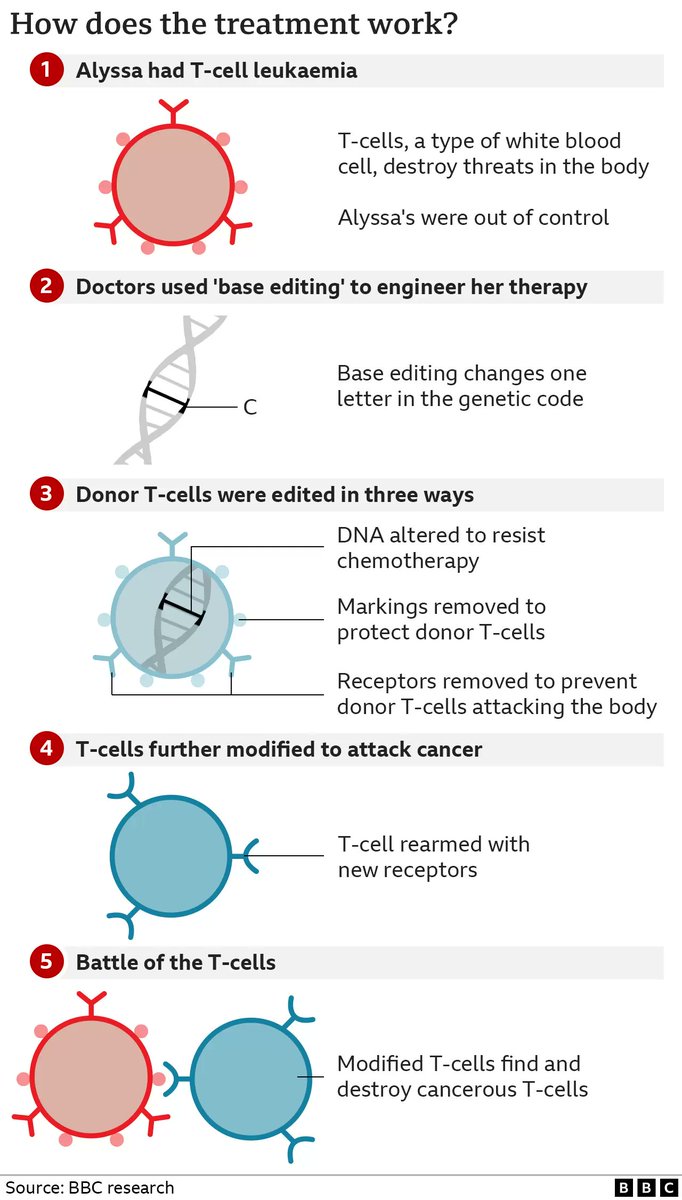 The clinical trial was led by Waseem Qasim's team @ucl. A CBE made three simultaneous edits in donor T cells by ex vivo electroporation of CBE mRNA & guide RNAs. The edited T cells (made CD7-less by base editing) received an anti-CD7 CAR, then were transplanted into Alyssa. 2/3