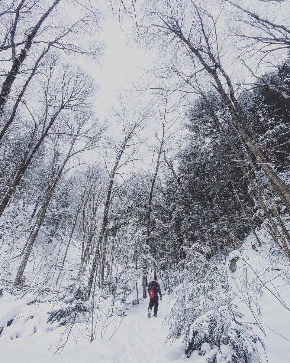 Inthewoods2014's tweet photo. Winter Wonderland.  #wisconsintrails https://t.co/EB3ewDlJ8q