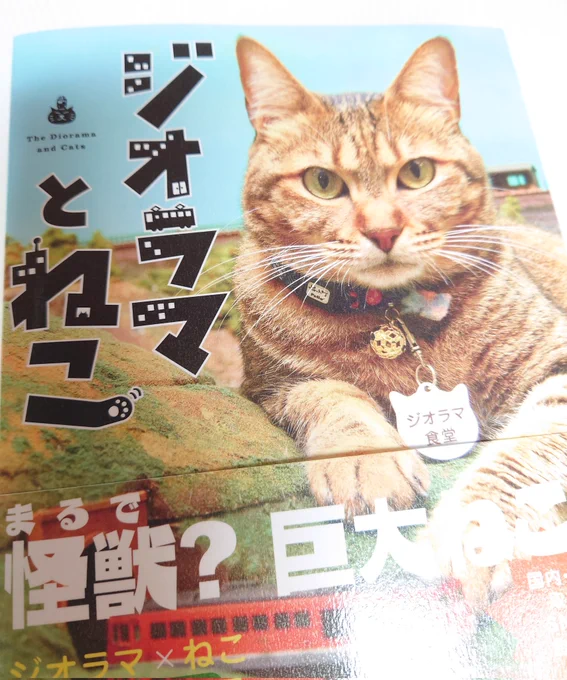 買わずにはいられなかった🐈 