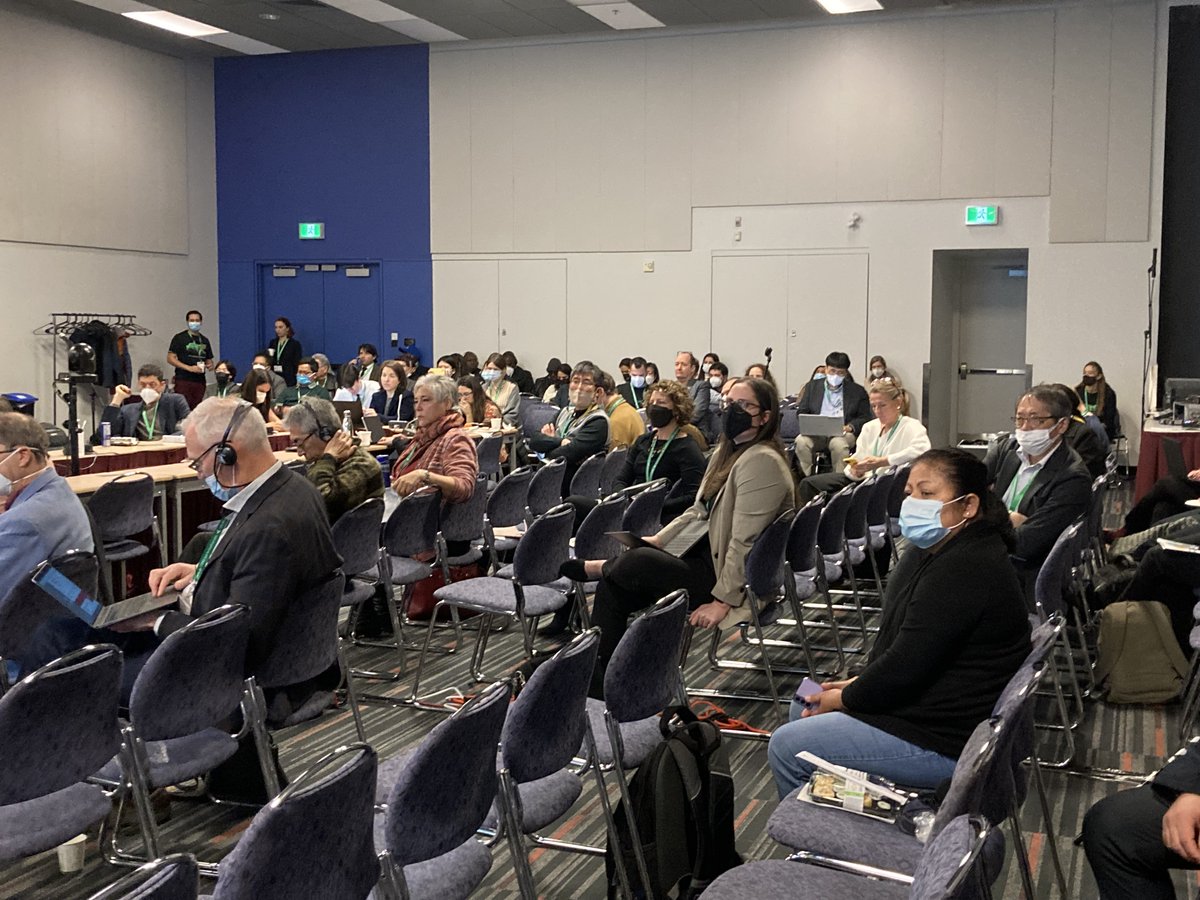 Linda Laikre tweet media