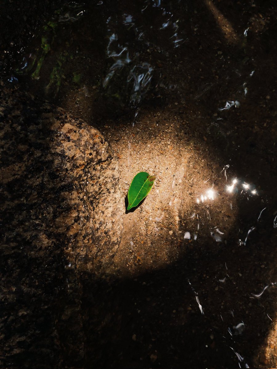 You are not alone. Soon the light will shine and you can feel the heat. 🖤