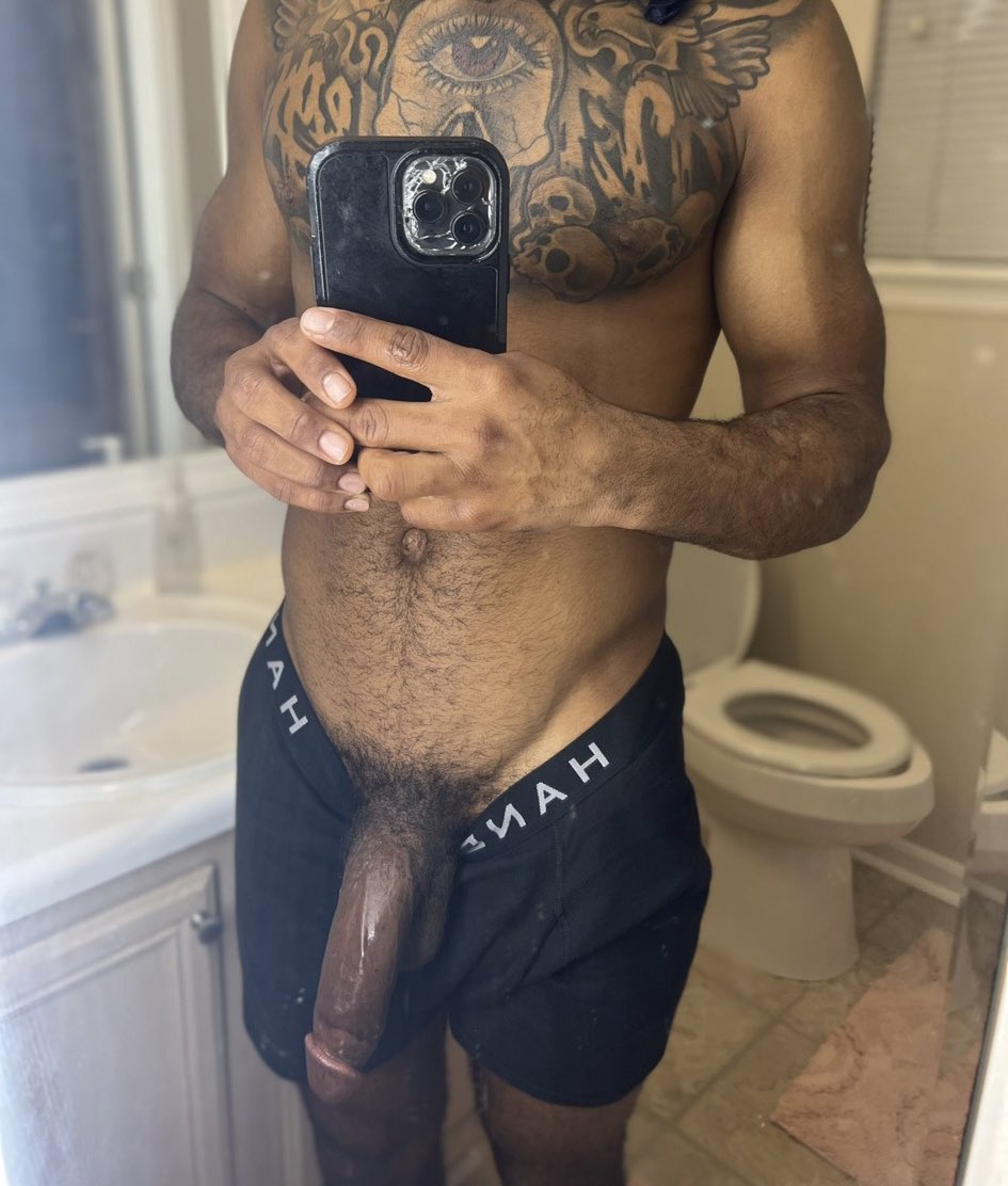 Caribbean Mastif.... let me dig you out (@TLanzee)  X