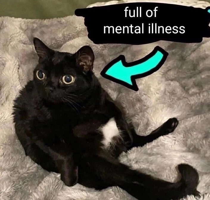 literallymecats's tweet photo. https://t.co/yNLUr9JhrZ