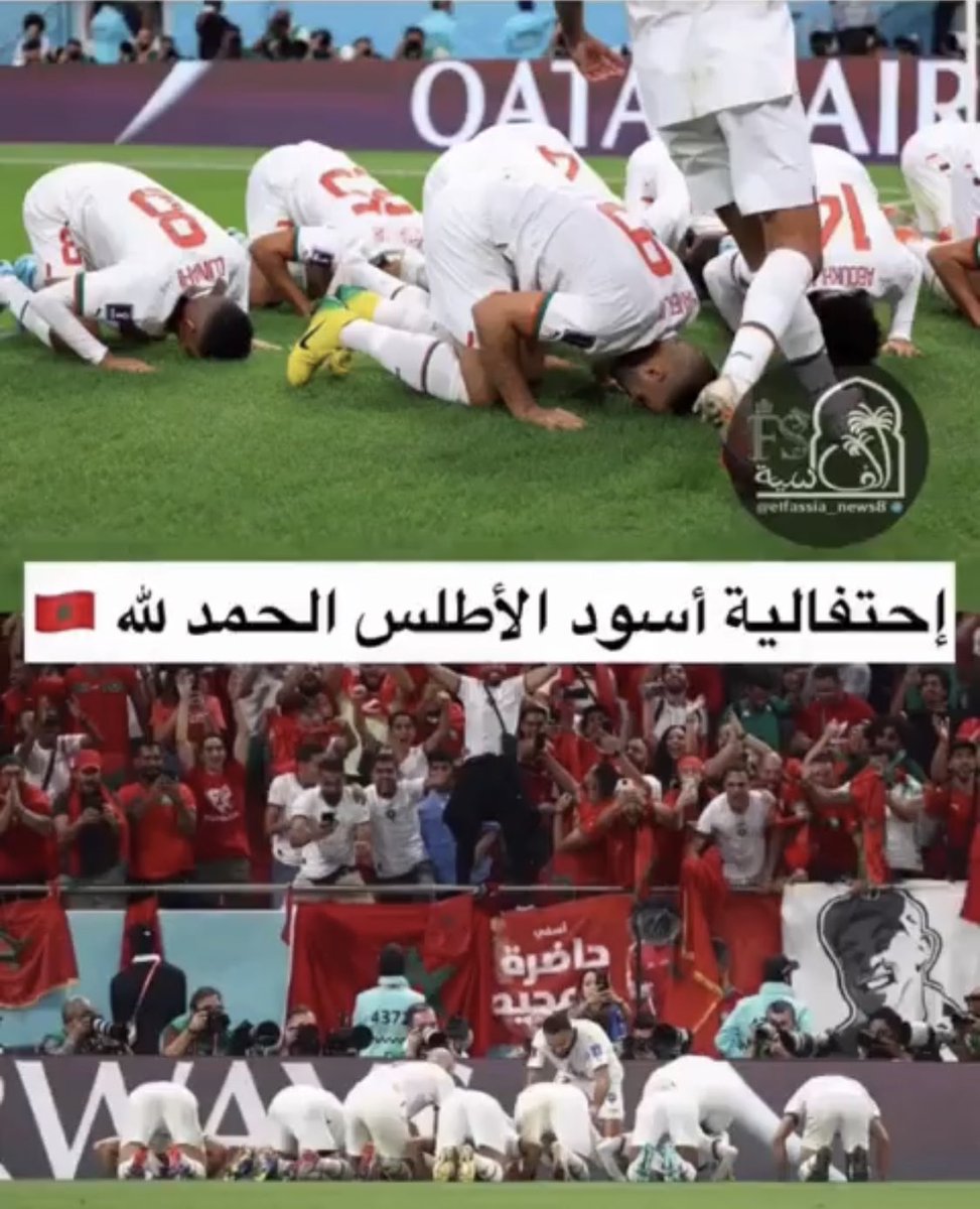 s_FiP_'s tweet photo. @SaifBZayed https://t.co/WZhU5X53Gx