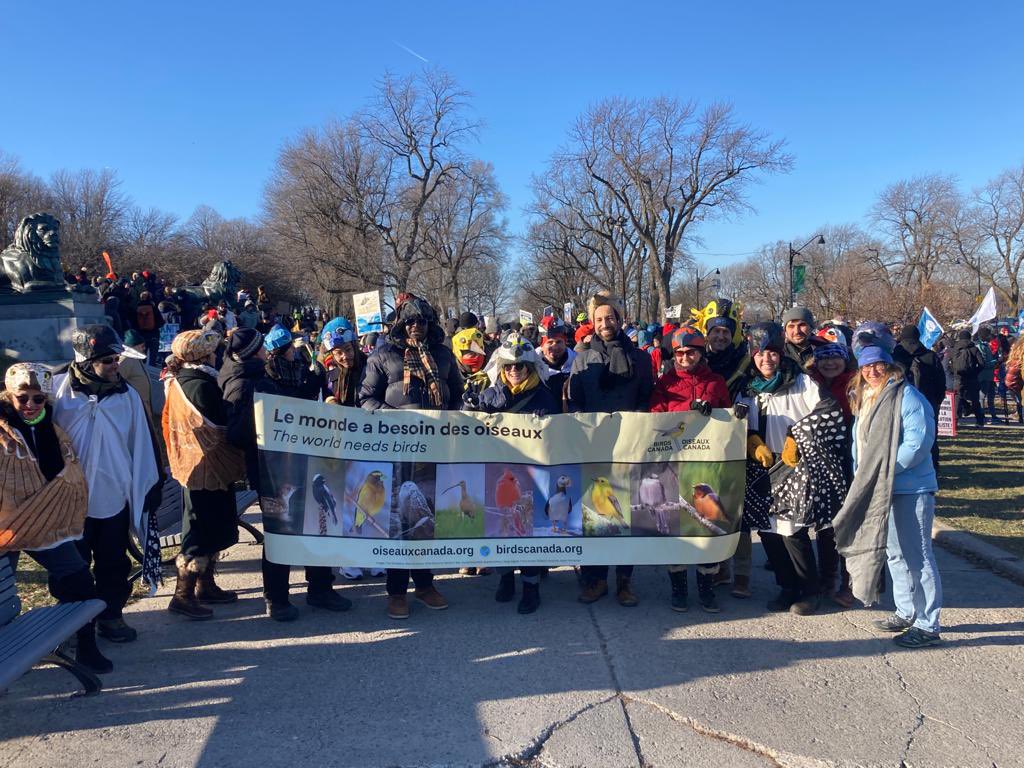 FraserDeltaIBA's tweet photo. @Pat_Nad @BirdLife_News @BirdsCanada From the conference room to streets @BirdsCanada and @BirdLife_Policy doing what we can at #COP15 for birds, biodiversity and the future of all of the world’s inhabitants. #HumanRightsDay https://t.co/FGPlGFKbf2