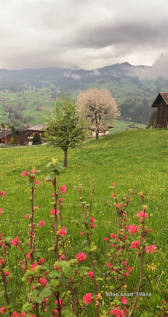 في الحياة 
إن لم تتعلم من الضربة الأولى 
فأنت تستحق الثانية ..!

 #صباح_الخير