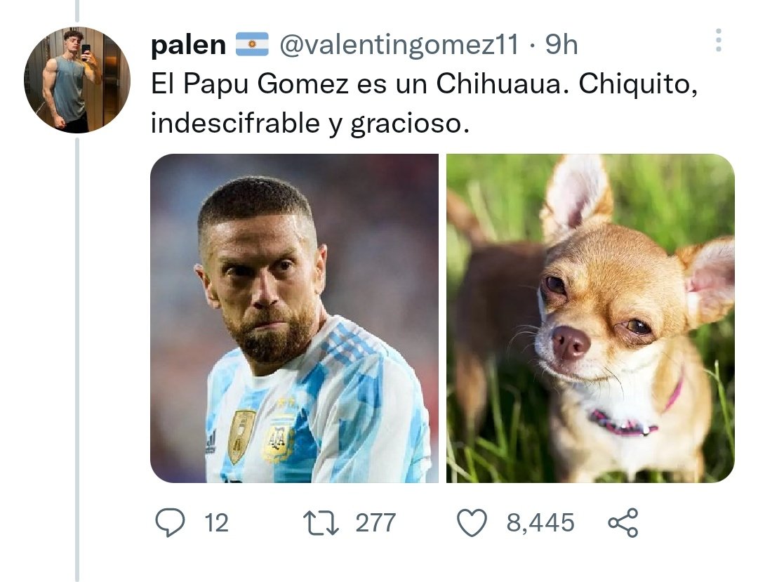 <a href="/valentingomez11/">palen</a> Muy bueno crack pero aca te confundiste pusiste una foto de david Beckham no del papu
