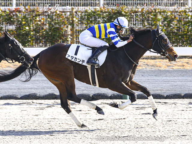 鷲頭虎太　騎手サインカード alba-tesoro_2022-jra-horse-