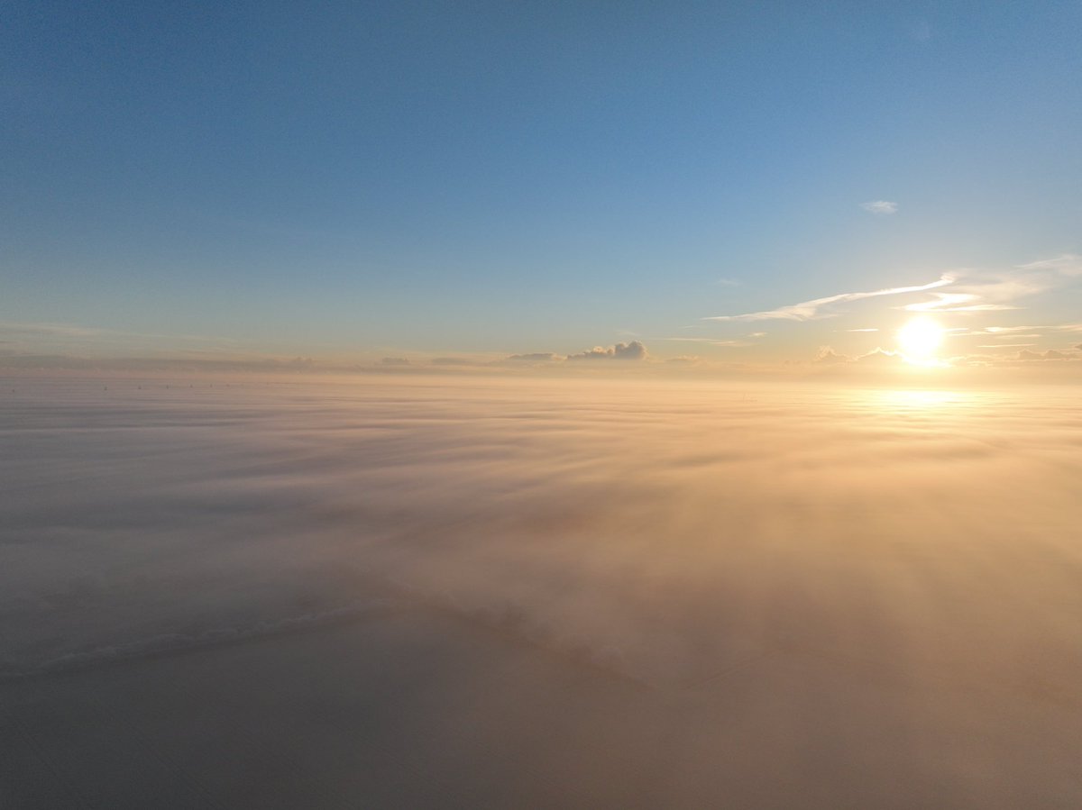 Tim Barrell tweet media