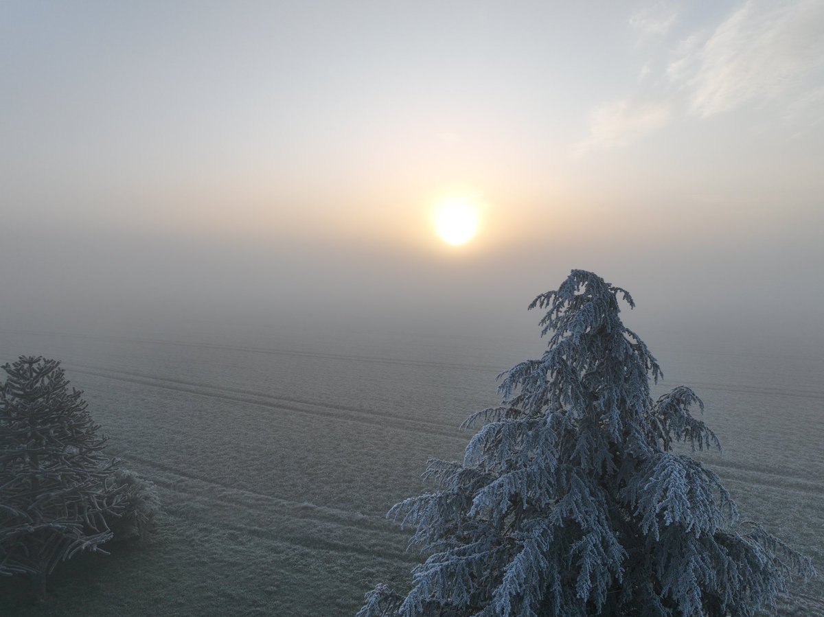 Tim Barrell tweet media