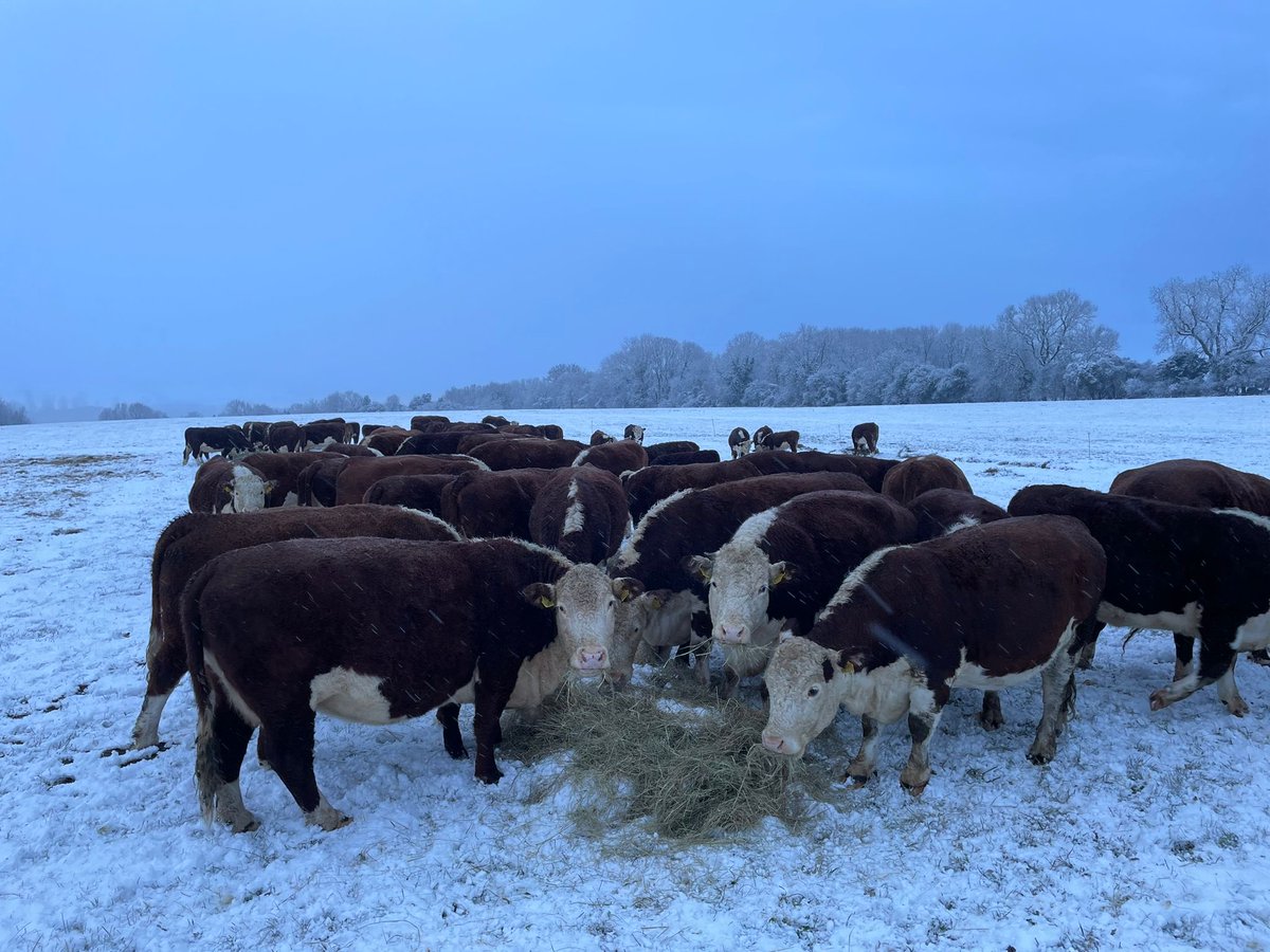 Cathy Boyd tweet media