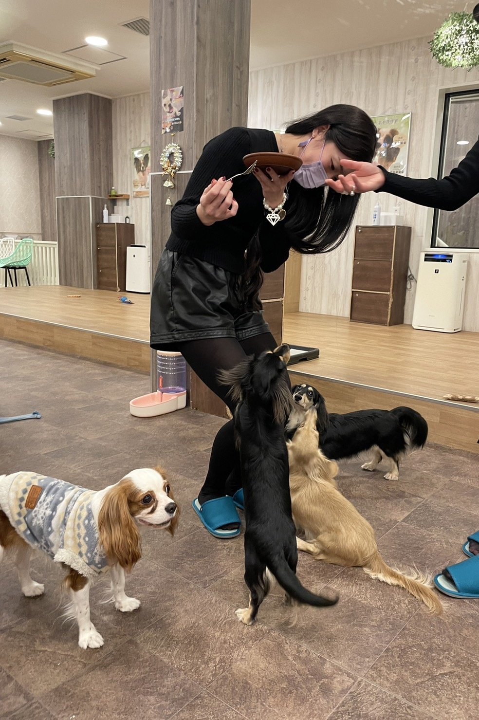 犬カフェrio Twitter Search Twitter