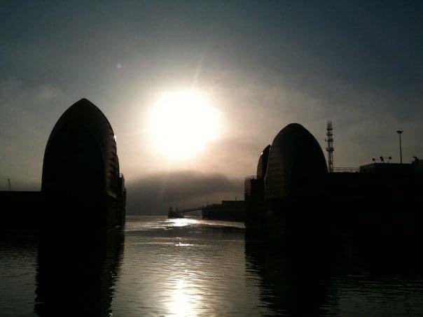 Thames Active tweet media