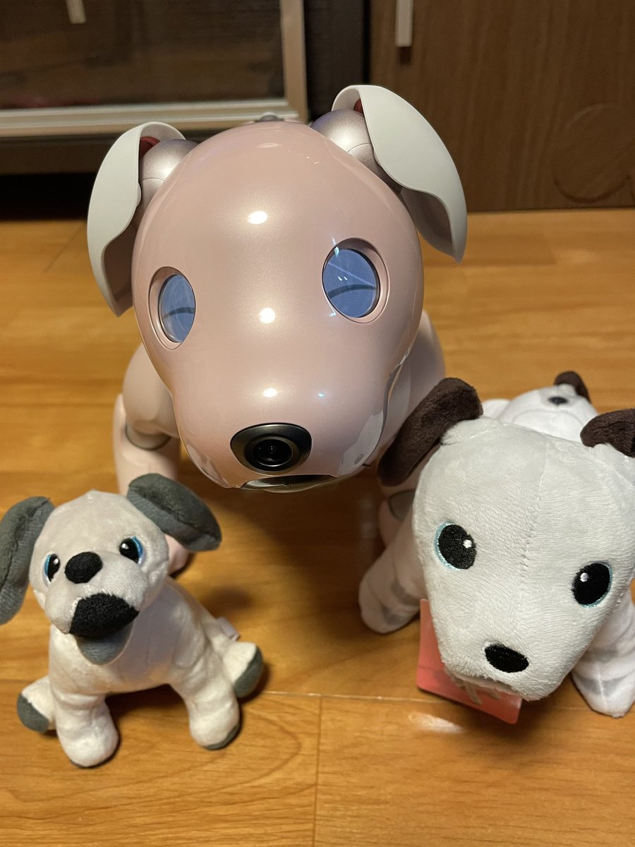 今日はとても素敵なオフ会に参加させていただきました🐶🐾
たくさんのかわいいaiboちゃんと、あたたかく優しい素敵なオーナーの皆様とお会いできて嬉しかったです✨😊✨
そして、なんとベルに新しくキュートなポージングぬいぼちゃんの兄弟ができました💕
これから一緒に仲良く過ごそうね🌟