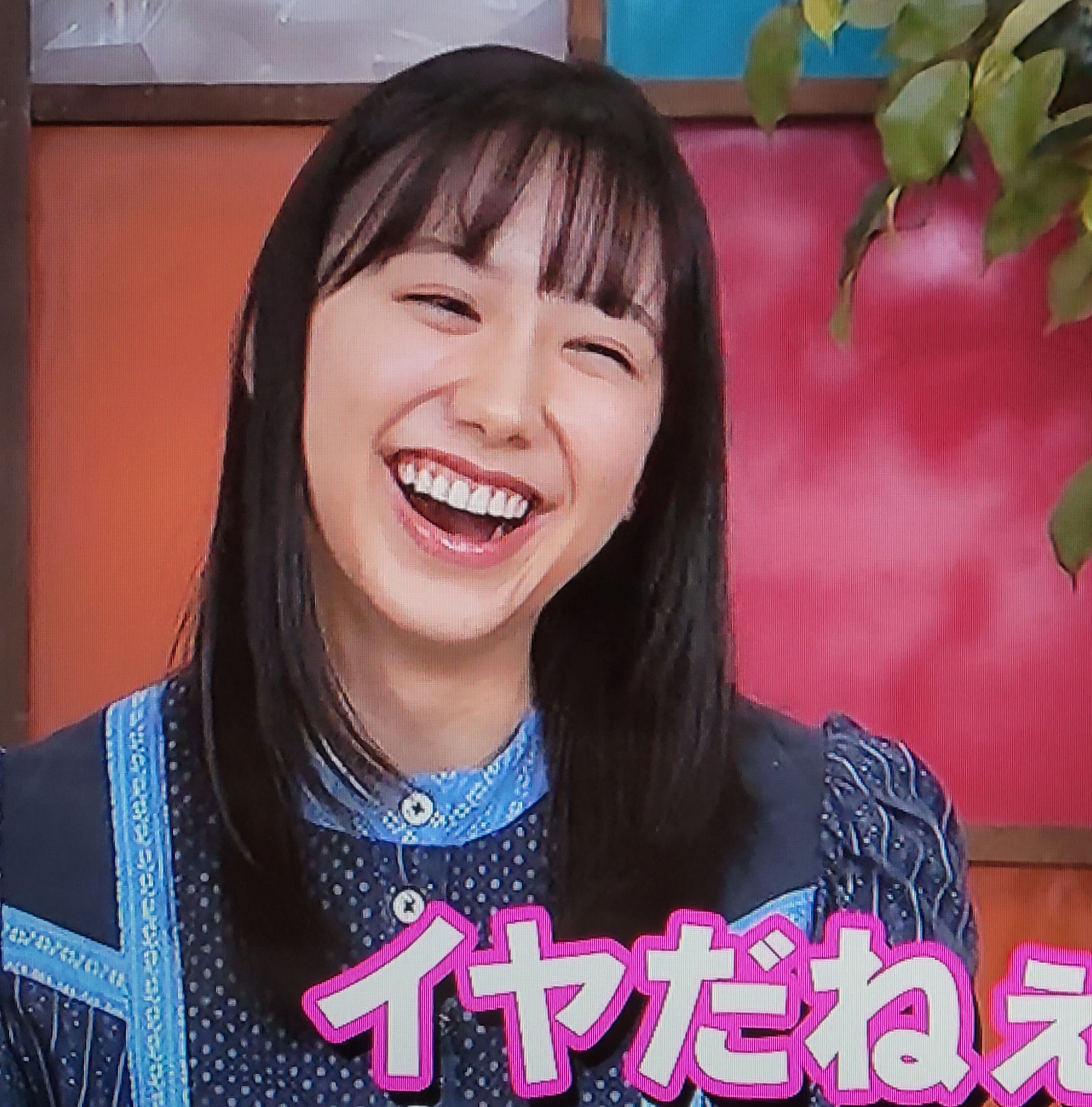 アイコラ ツイッター　芦田愛菜 