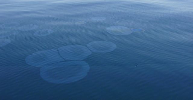 Hergueta_JoseA's tweet image. Sin sol de invierno este año (ni es hoy 12-dic) imposible no recordar el destino del submarino C3 frente a Málaga aquel mediodía d 1936, q homenajeamos estrenando "Operación Úrsula" justo 70 años después. Atrapado por aquellos días de guerra en Málaga, muy pronto: "Caleta Palace"