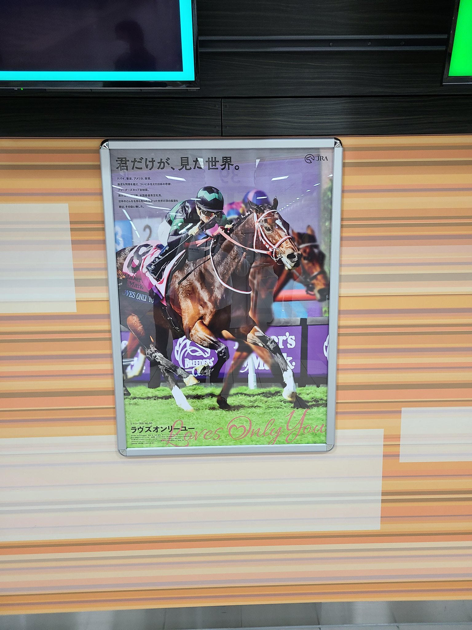 ラヴズオンリーユー　ヒーロー列伝　B1 JRAヒーロー列伝＃90 ラヴズオンリーユー B1サイズ 非売品 新作