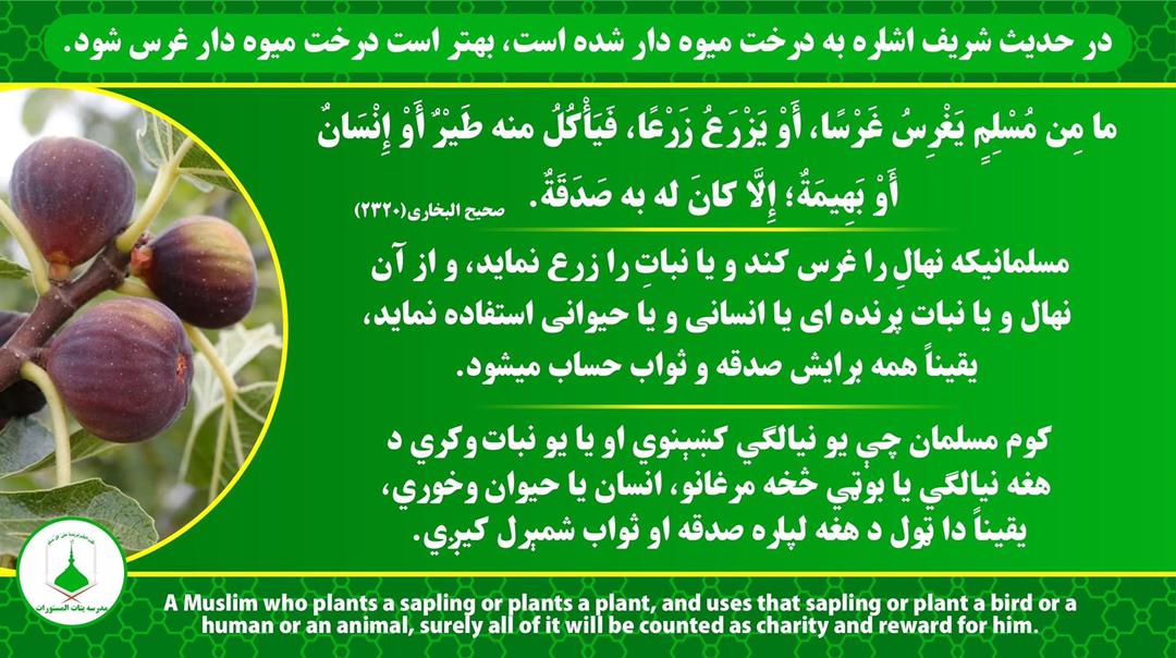 abid7875's tweet photo. https://t.co/FYphSYfGPe