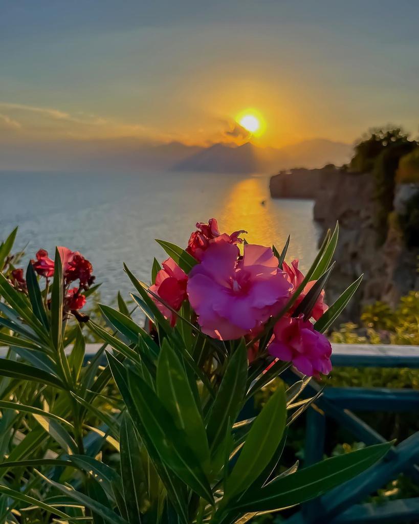 Güneşin öğleyin batıya doğru kaydığı andan gece karanlığı bastırıncaya kadar belli vakitlerde namazı dosdoğru kıl; özellikle sabah namazını da kıl, çünkü sabah namazı şâhitlidir.İsra 78
#SabahNamazı