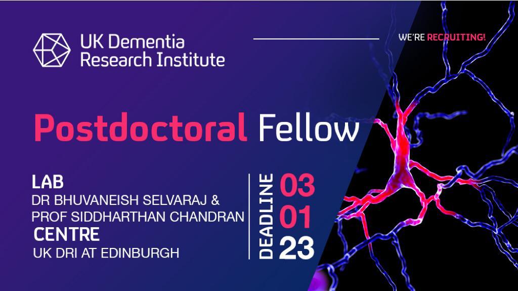 🚨Job alert🚨 
We are looking for a talented post-doctoral candidate to join collaborative network of researchers #UNITED2ENDMND. This <a href="/lifearc1/">LifeArc</a> <a href="/MNDoddie5/">My Name'5 Doddie Foundation</a> supported project will be based at Edinburgh university <a href="/UKDRI/">UK Dementia Research Institute</a> <a href="/EuansCentre/">Euan MacDonald Centre</a> @AnneRowlingClinic <a href="/EdinUniNeuro/">Edinburgh Neuroscience</a>