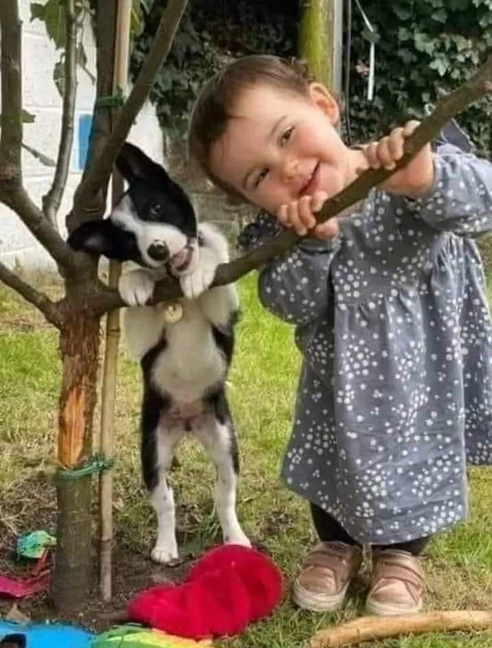 Happy Sunday.🥰🤗