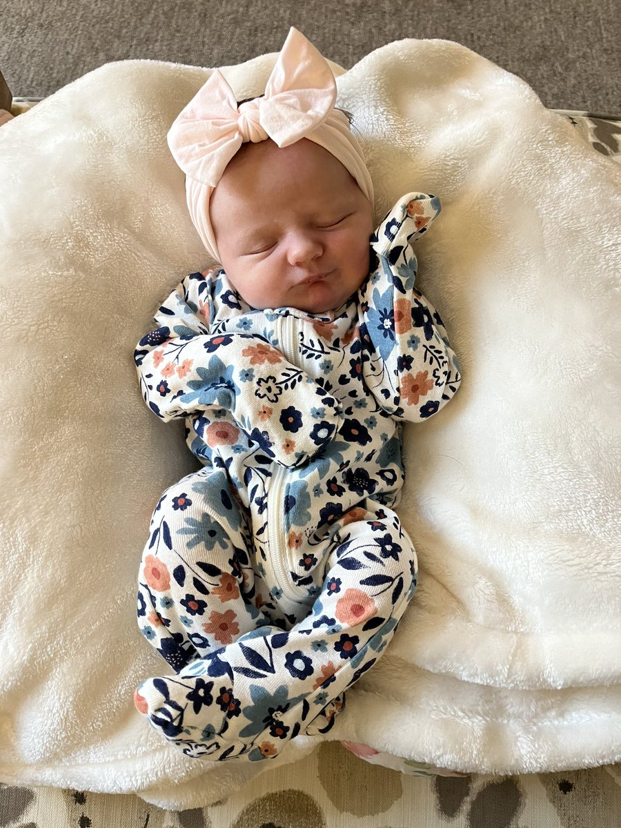 Stephanie Dixon tweet media