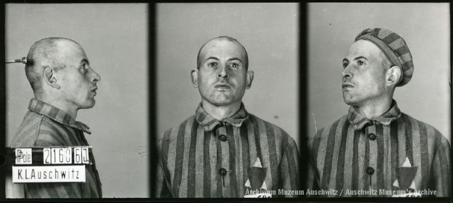 Auschwitz Memorial tweet media