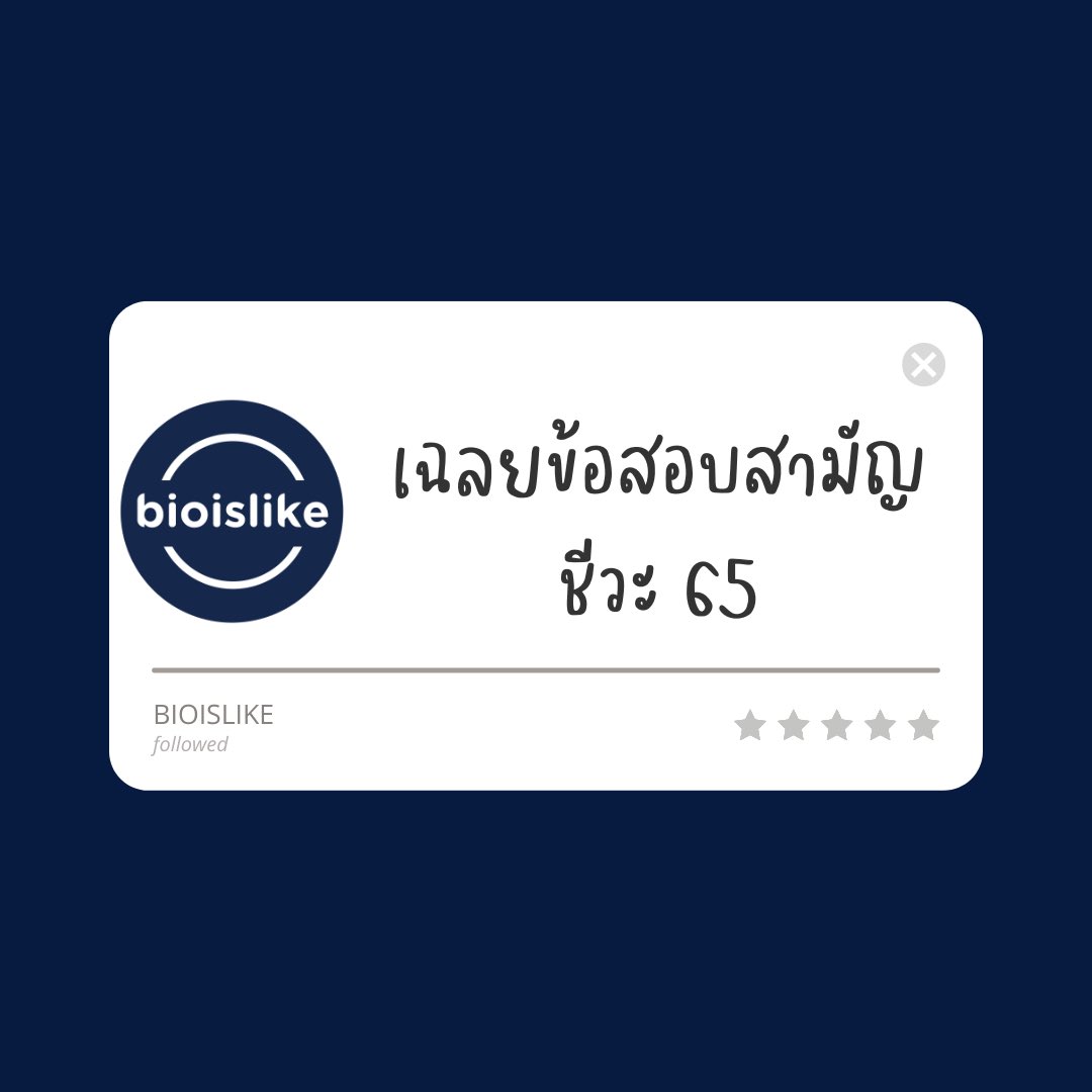 bioislike's tweet image. เธรดรวมเฉลยข้อสอบสามัญชีวะ 65

✅ไฟล์ข้อสอบ โหลดไปลองทำก่อน จับเวลา 90 นาที 

drive.google.com/file/d/1cghFjV…

#dek66  #ALevel66