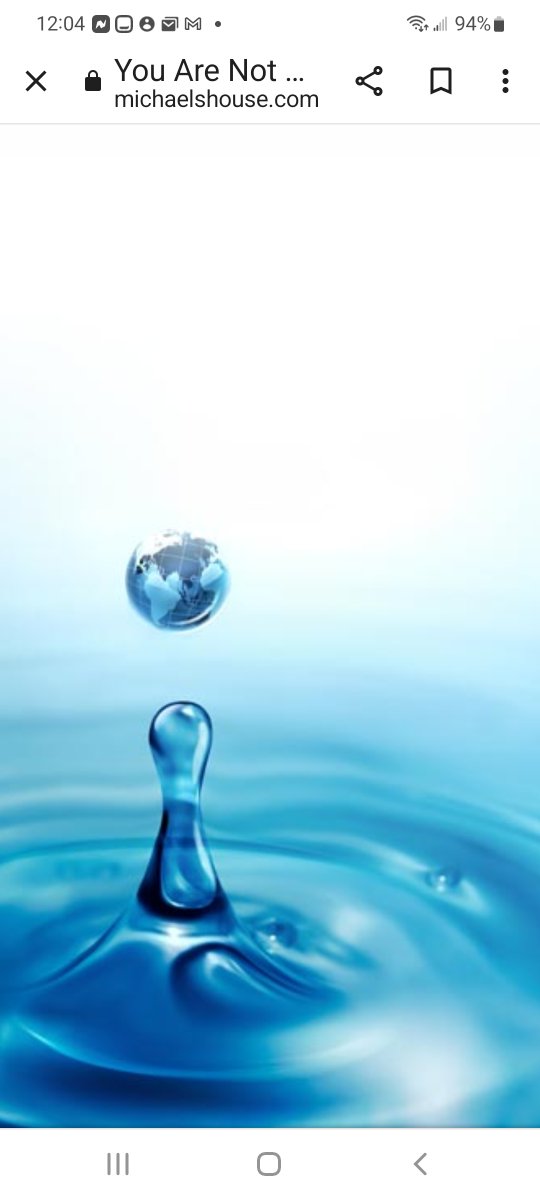 The light that shines,
from our individual soul,
lives on,
far beyond, 
our individual life.

"We are not,
just a single drop
in the entire ocean.
We ARE,
an entire ocean,
in,
just a single drop."
Persian Poet Rumi