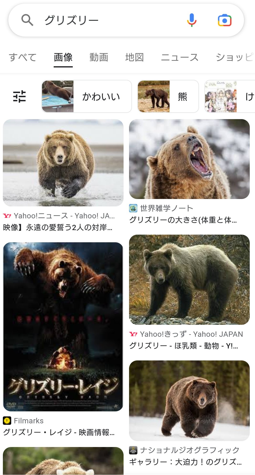たた牌 Al Twitter グリズリーお姉ちゃん 好き Twitter